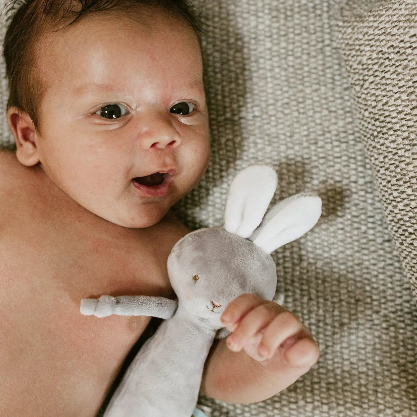 Friendly Chime Rattle - Gray Bunny