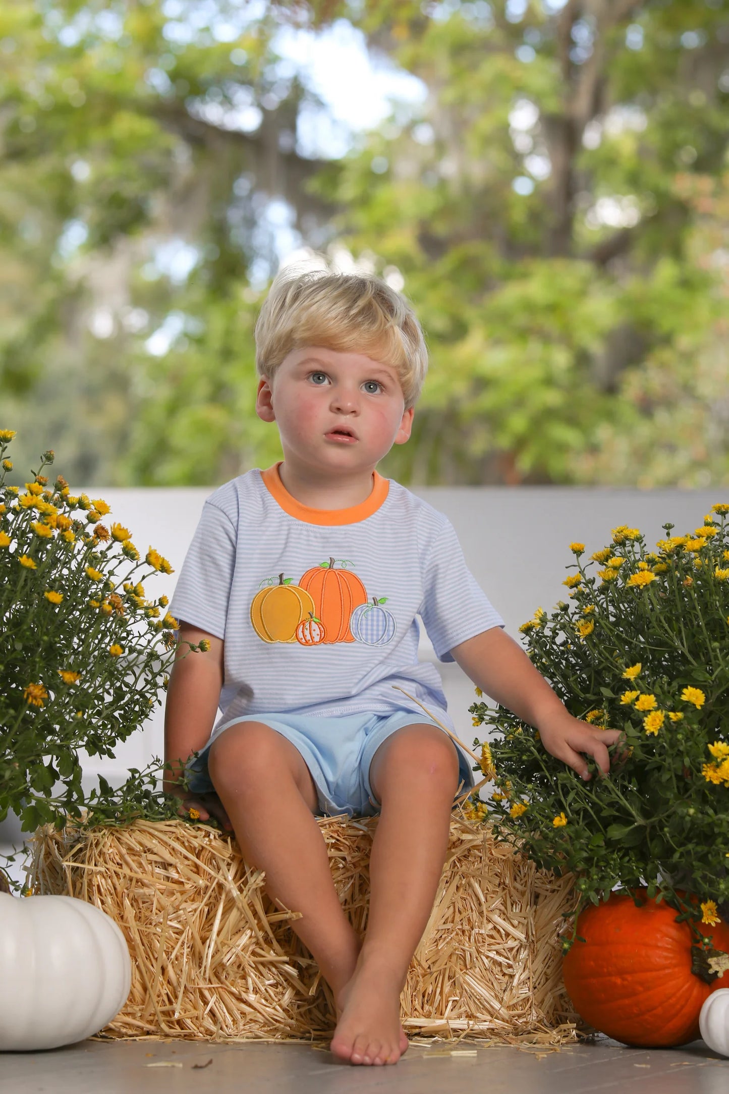 Pumpkin Patch Shirt