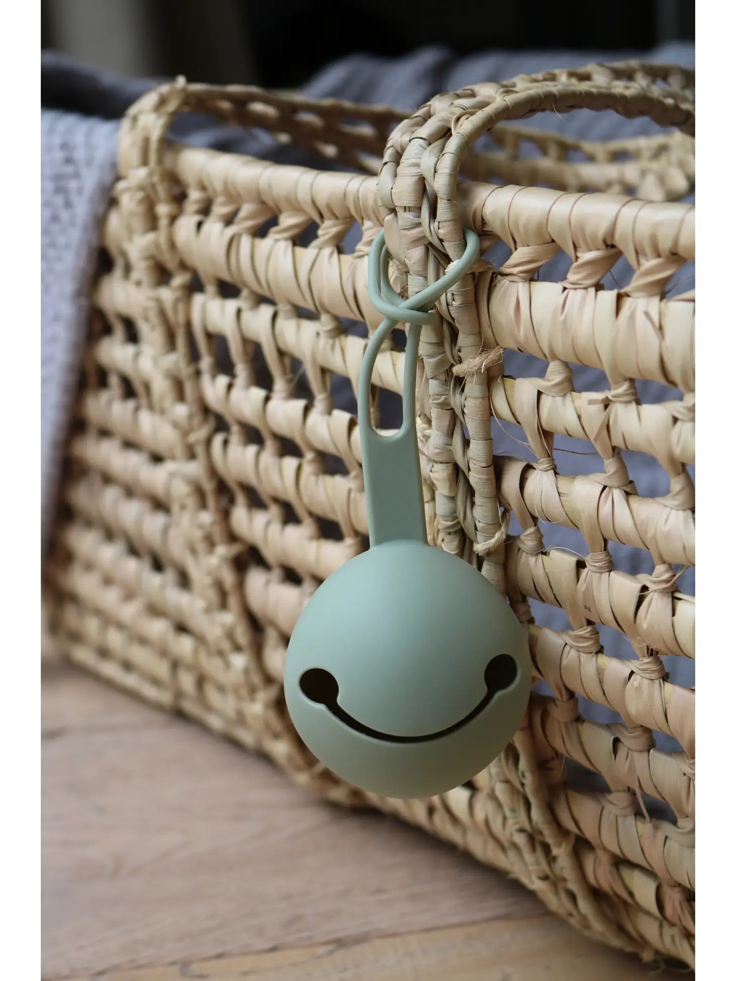 Pacifier Holder Color: Sage
