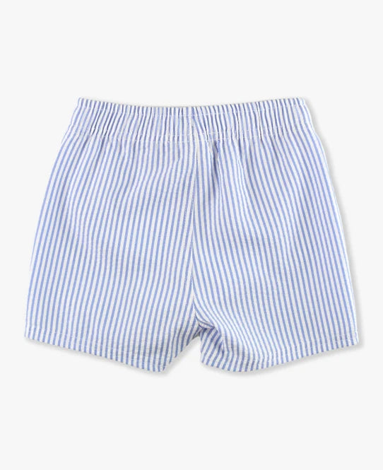 Periwinkle Blue Seersucker Swim Trunks