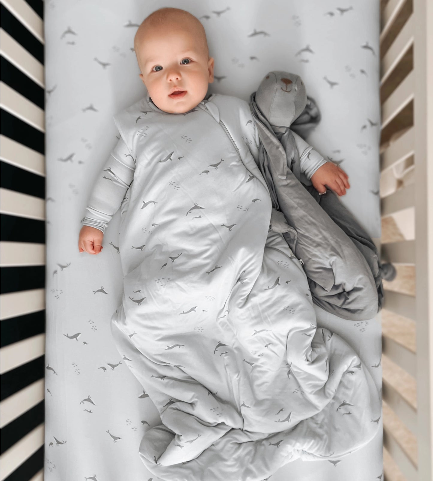 Sleep Bag 1.0 Tog