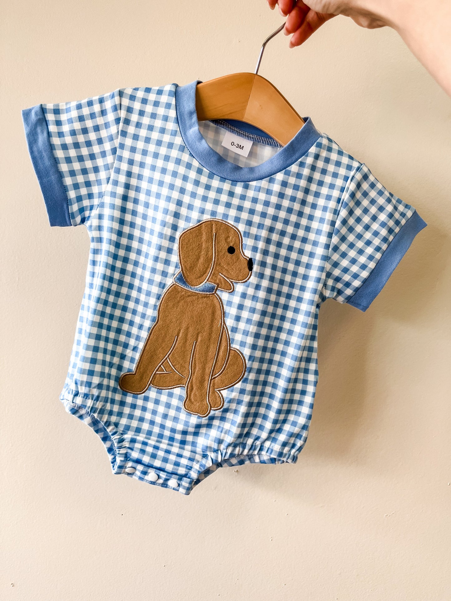 Gingham Lab Bubble