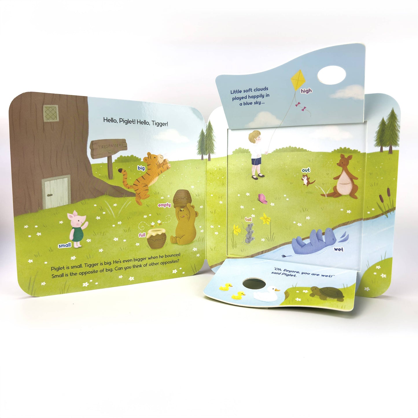 Winnie-the-Pooh Flap Book
