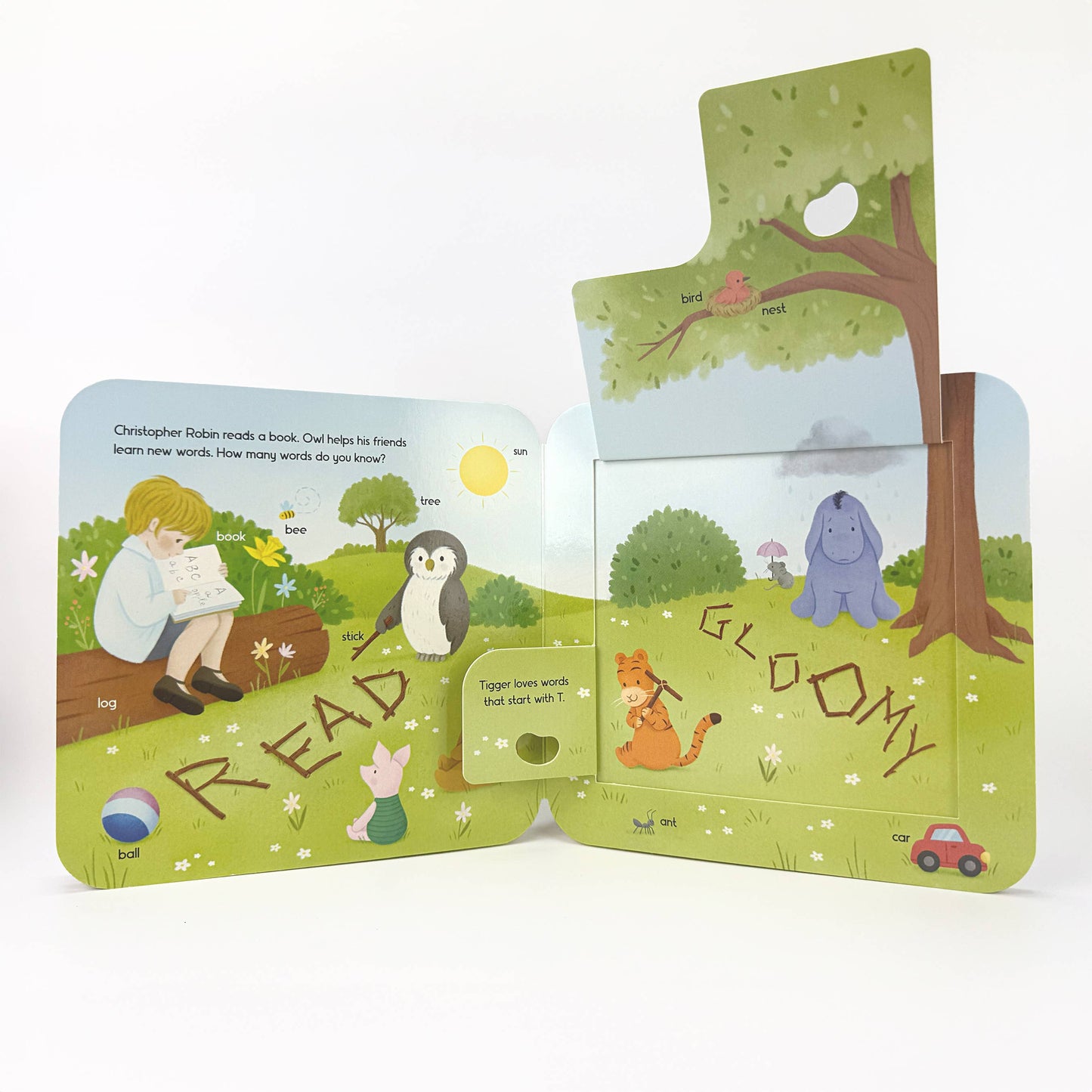 Winnie-the-Pooh Flap Book
